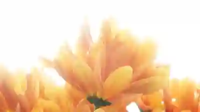 결제수단 변경 후 앱 설치 문제 해결을 위한 4가지 점검 사항 알아보기