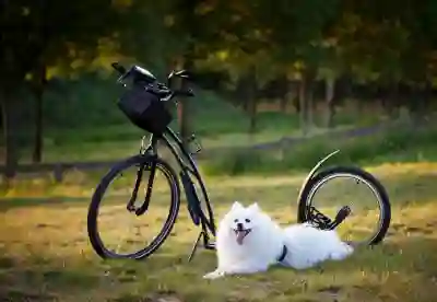 멜론 스밍 끊김 문제 해결하는 꿀팁 알아보자