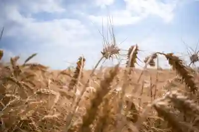 해외결제 체크카드 추천과 발급 조건 알아보자