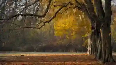 인스타그램 계정을 일시 정지하는 방법 알아보자