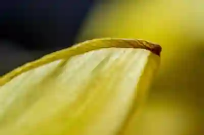 위챗 새 기기 로그인 꿀팁: QR코드와 인증으로 손쉽게 이동하는 법