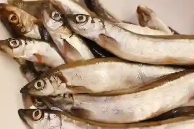 티켓팅 속도 최적화! 빠른 인터넷 환경 세팅법 (인터파크 티켓팅 필수 준비)