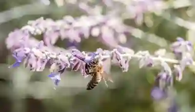넷플릭스 결제 내역 확인|모르면 요금 중복 청구됩니다 (2025 최신 방법)