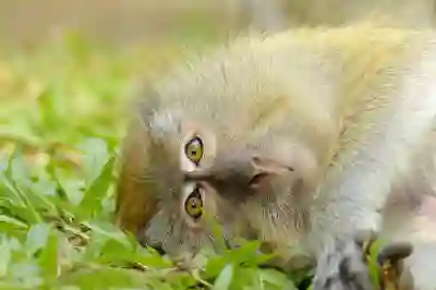 블로그 예약 발행 기능, 수익형 블로거가 꼭 써야 할 이유 (2025 실전 가이드)