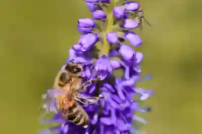 멜론 이용권 가격 비교 2025|가장 저렴한 요금제 고르는 법(공식 기준 총정리)