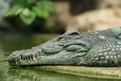 넷플릭스 자동결제 취소|매달 몰래 빠져나가는 요금, 지금 이 방법으로 반드시 막아야 합니다!