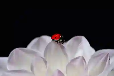 실업급여 1일 실업급여액·지급일수 계산 예시 ? 월급제/시급제 샘플 포함