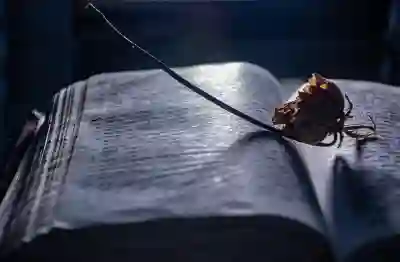 인스타그램 저장수 폭발적으로 늘리는 17가지 스토리 콘텐츠 만들기 [2025 저장률 400% 상승법]