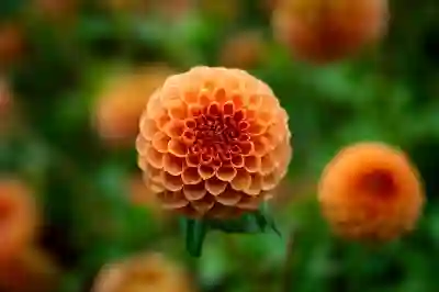 [2025년 최신] 인스타그램 계정 삭제 안 하고 숨기는 법 ? 비공개 & 비활성화 차이 완벽 정리