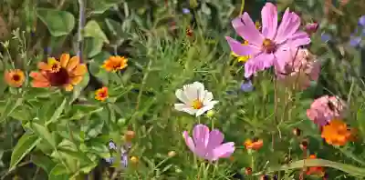 멜론 플레이리스트 만들고 관리하는 법 (PC & 모바일) | 원하는 음악만 골라 듣는 꿀팁!