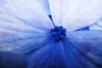 Offerwall 성과 분석 및 최적화 - 데이터 기반 수익 관리 완벽 가이드