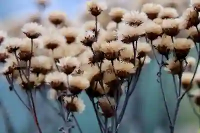 놀 인터파크 예매 대기열 공략 2025: 브라우저·네트워크 세팅 방법과 비교 체크리스트(취소표 실시간 모니터링까지)