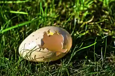 [2025 최신] 인스타그램 릴스 공유, 원작자가 내 정보를 알 수 있을까?｜알림 여부·노출 범위·개인정보 보호 팁 총정리