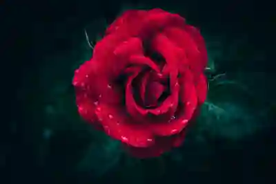 [2025 최신] 인스타그램 계정 삭제 후 복구 가능한가? 복구 방법 & 대안 총정리!