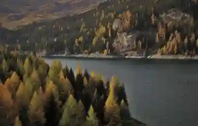 멜론 스트리밍 vs 다운로드, 뭐가 더 좋을까? 2025년 최신 비교 분석!