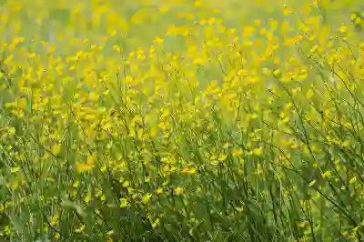 [2025년 최신] 인스타그램 계정 삭제하는 법 ? 모바일 & PC 완벽 가이드