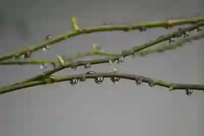 일본 배대지 추천 2025｜이 가격 실화? 재팬타임몰 vs 직구의품격 완전 비교