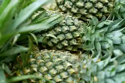 요즘 감성 제대로! 인스타 감성 사진 편집 앱 추천 TOP 5 (2025 완전정리)