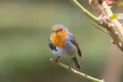 쿠팡플레이 ps-2102 해결 방법 2025|재부팅부터 DRM 설정까지 7단계 체크리스트 + 3분 복구 루틴