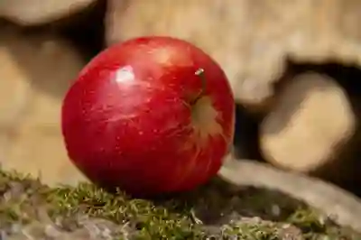 아고다 어필리에이트로 수익 내는 법, 지금 시작 안 하면 후회합니다 (2025년 최신 가이드)