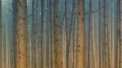 멜론 100원 이벤트 완벽 정리와 참여 방법 살펴보기