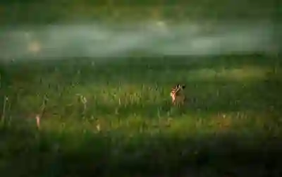 멜론 스트리밍과 다운로드의 장단점 알아보자