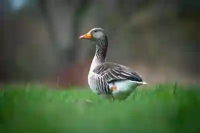 알리페이 계정 정상화를 위한 4가지 꿀팁 알아보자