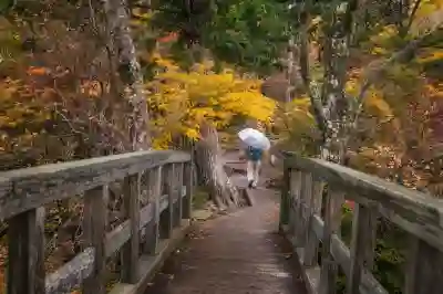 위챗 통화 인증 문제 해결을 위한 필수 팁 알아보자