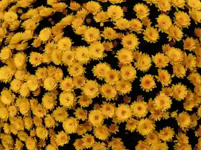 위챗 차단 해제 후 기록이 남는지 알아보자