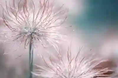 위챗페이 외국인 결제 한도와 제한 사항 알아보기