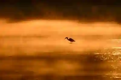 인스타그램 음악 문제 해결을 위한 4가지 방법 알아보자