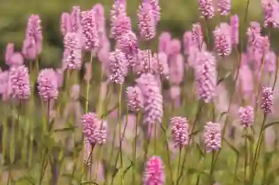 인스타그램 친구 추천 설정과 제한 기능 알아보자