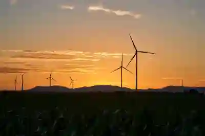 인스타그램 팔로워 늘리는 꿀팁 4가지 알아보자