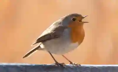 인스타그램 스토리 저장을 유도하는 효과적인 전략 살펴보기