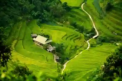 인터파크 티켓팅 결제 단계에서 실수 없이 빠르게 완료하는 꿀팁