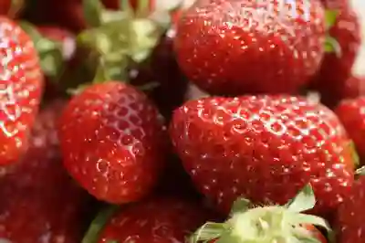 재팬타임몰 포장 퀄리티 확인하는 꿀팁