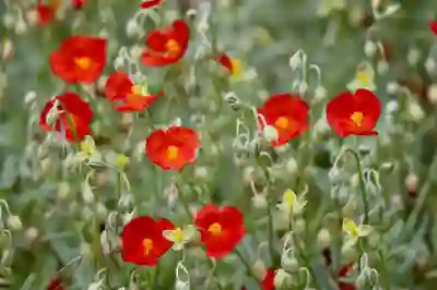 쿠팡플레이에서 꼭 봐야 할 HBO 드라마 7편 알아보자