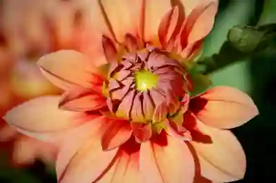 쿠팡플레이 가입하는 방법과 무료 시청 꿀팁 알아보자