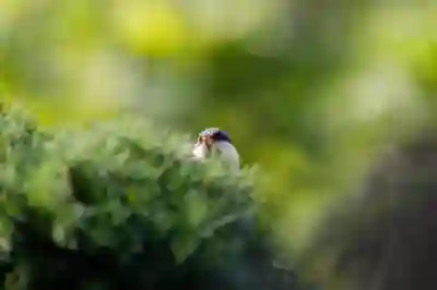 KakaoTalkAdBlock 사용법: 카카오톡 광고 차단 끝판왕 가이드