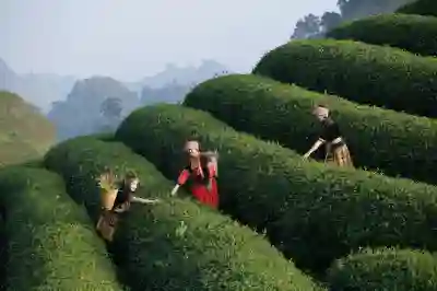 미스터트롯2 전국투어 콘서트 티켓 예매 완벽 가이드