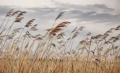 보증금 100만원 월세 계약 중도해지 위약금 얼마? | 사례 중심 계산법