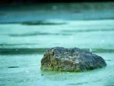 알툴즈 광고 제거, 무료 방법과 AD-ZERO 구독 비교!