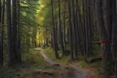 월세 계약 중도해지와 전세계약 변경의 차이 | 유형별 해지 처리