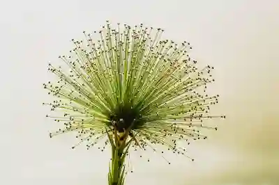 인스타그램 사진 저장 방법: PC와 모바일에서 쉽게 따라하기