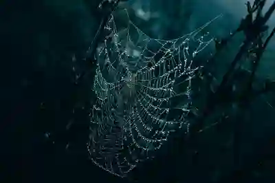 포장이사 후 청소까지 깔끔하게! 이사 스트레스 없는 완벽 가이드