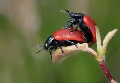 BTP-131 스타일러스 페어링 문제 해결을 위한 5가지 방법