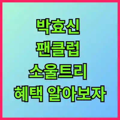 박효신 팬클럽 소울트리 혜택 알아보자