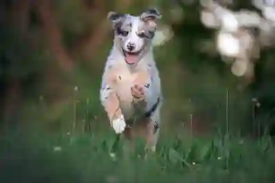 마샬 액톤3 블루투스 스피커로 친구와 음악을 즐기는 3가지 방법