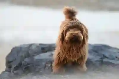 병원 원외처방전 사용기간과 재발급 절차 알아보자