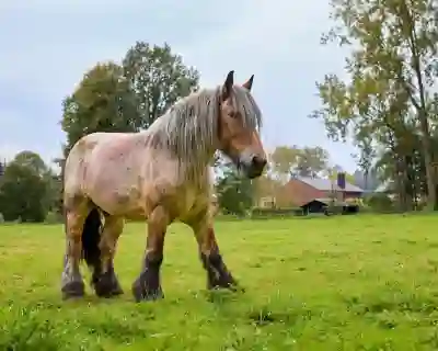 쌍용 SM3 블루투스 전원 문제 해결을 위한 4가지 방법